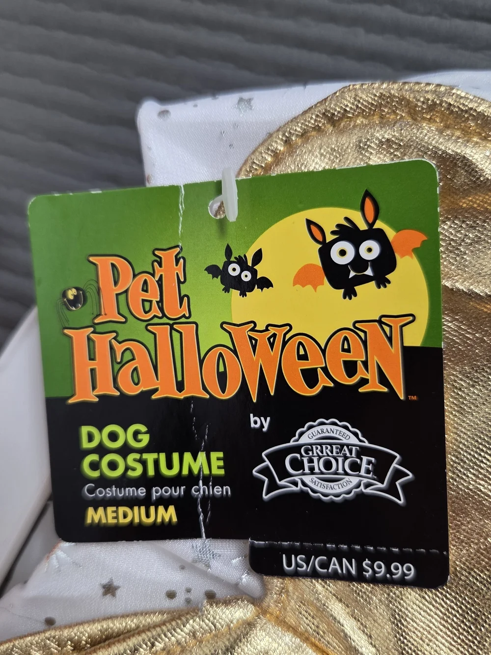 Great Choice charming dog
